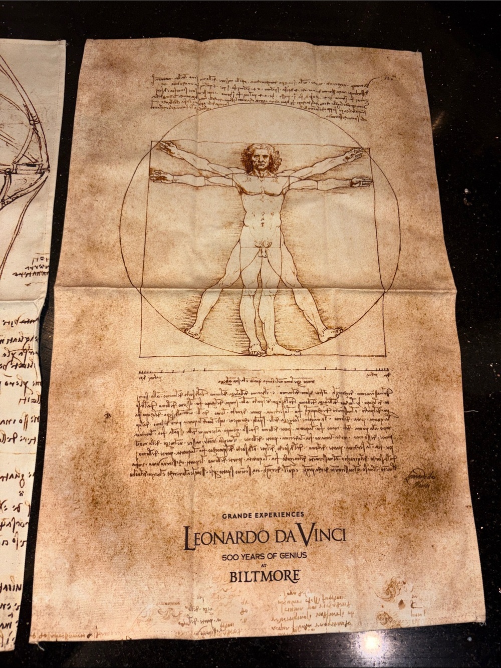Leonardo da Vinci Vitruvian Man Textile Set Biltmore Estate Exhibition NEW